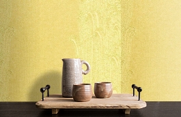 Обои 6242 фото в интерьере коридора превью