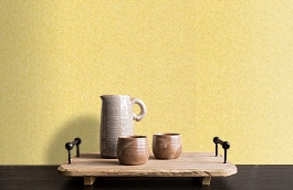 Обои 9155 фото в интерьере коридора превью