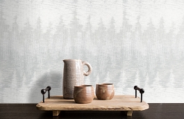 Обои 10211 фото в интерьере коридора превью