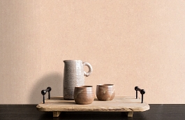 Обои TER3 003 1 фото в интерьере коридора превью