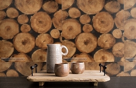 Обои Lumberjack Timber LM01 фото в интерьере коридора превью