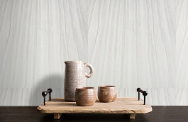 Обои 18154 фото в интерьере коридора превью