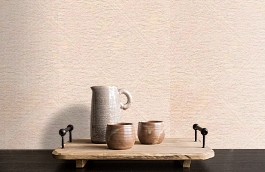 Обои JVN17X фото в интерьере коридора превью