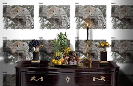 Обои DM 034 Illusion фото в интерьере гостиной превью