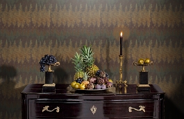 Обои 10210 фото в интерьере гостиной превью