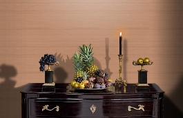 Обои TER2 004 1 фото в интерьере гостиной превью