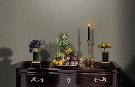 Обои TXL5 005 2 фото в интерьере гостиной превью