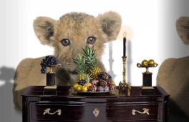 Обои 892451 фото в интерьере гостиной превью