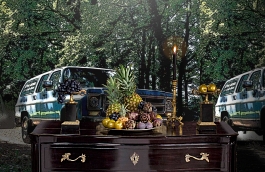 Обои 893205 фото в интерьере гостиной превью