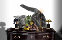 Обои 892314 фото в интерьере гостиной превью