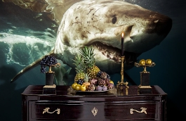 Обои P170901-9 фото в интерьере гостиной превью