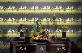 Обои 35623 фото в интерьере гостиной превью