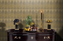 Обои TN50405 фото в интерьере гостиной превью