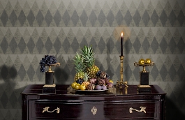 Обои TN50408 фото в интерьере гостиной превью