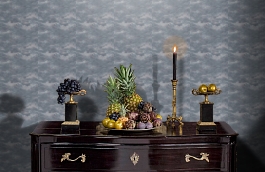 Обои FJ080219 фото в интерьере гостиной превью