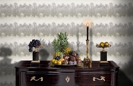 Обои FJ090200 фото в интерьере гостиной превью