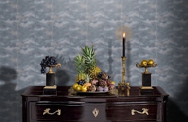 Обои FJ080208 фото в интерьере гостиной превью