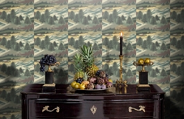 Обои TH50501 фото в интерьере гостиной превью