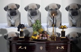 Обои 892406 фото в интерьере гостиной превью