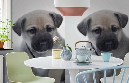 Обои 892413 фото в интерьере кухни превью