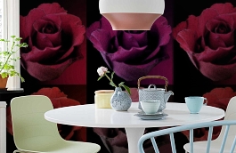 Обои 2212 фото в интерьере кухни превью