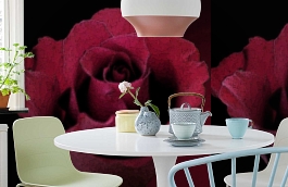 Обои 2213 фото в интерьере кухни превью