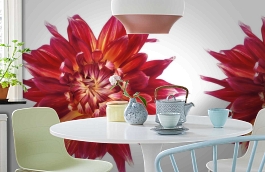 Обои P021401-6 фото в интерьере кухни превью