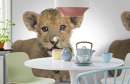 Обои 892451 фото в интерьере кухни превью