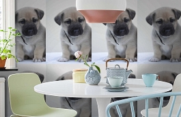 Обои 892406 фото в интерьере кухни превью