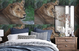 Обои 847406 фото в интерьере спальни превью