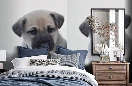 Обои 892413 фото в интерьере спальни превью