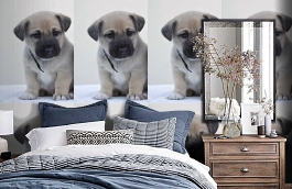 Обои 892406 фото в интерьере спальни превью