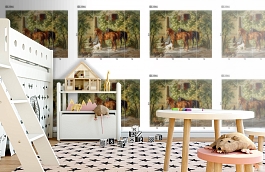 Обои DC 014 Illusion фото в интерьере детская превью