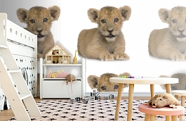 Обои 892468 фото в интерьере детская превью