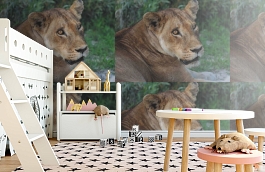 Обои 847406 фото в интерьере детская превью