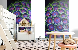 Обои MD902018 фото в интерьере детская превью