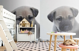 Обои 892413 фото в интерьере детская превью