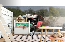 Обои 1609 lev6 406 фото в интерьере детская превью