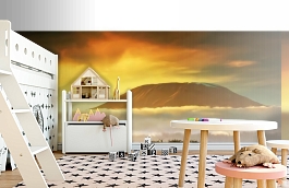 Обои MD904007 фото в интерьере детская превью