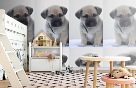 Обои 892406 фото в интерьере детская превью