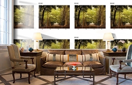 Обои DS 012 Illusion фото в интерьере кабинета превью