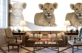 Обои 892468 фото в интерьере кабинета превью