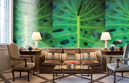 Обои 849059 фото в интерьере кабинета превью