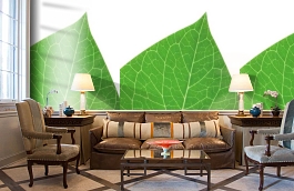 Обои 849066 фото в интерьере кабинета превью