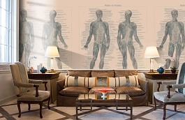 Обои 849202 фото в интерьере кабинета превью