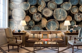 Обои 158206 фото в интерьере кабинета превью