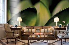 Обои EXD-18581 фото в интерьере кабинета превью