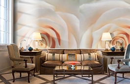 Обои 848151 фото в интерьере кабинета превью