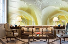 Обои 848168 фото в интерьере кабинета превью