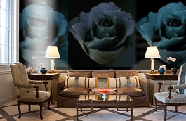 Обои 2211 фото в интерьере кабинета превью